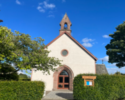 Sunny Kirk